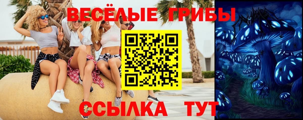 Галлюциногенные грибы Psilocybe  Вход с VPN  Сухой Лог  продажа наркотиков  Галлюциногенные грибы мицелий 